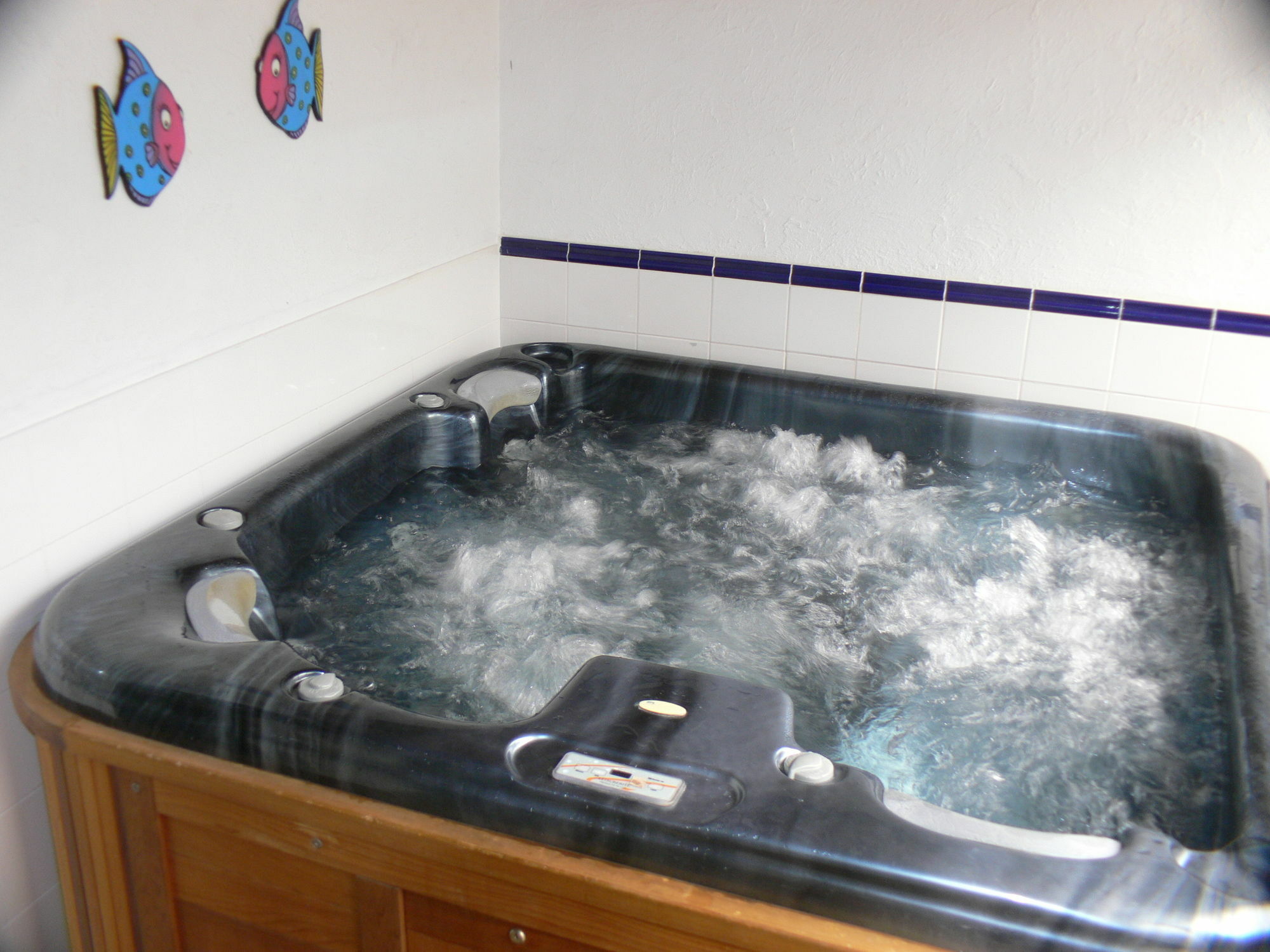Swiss Chalet Lodge Motel Paihia Buitenkant foto