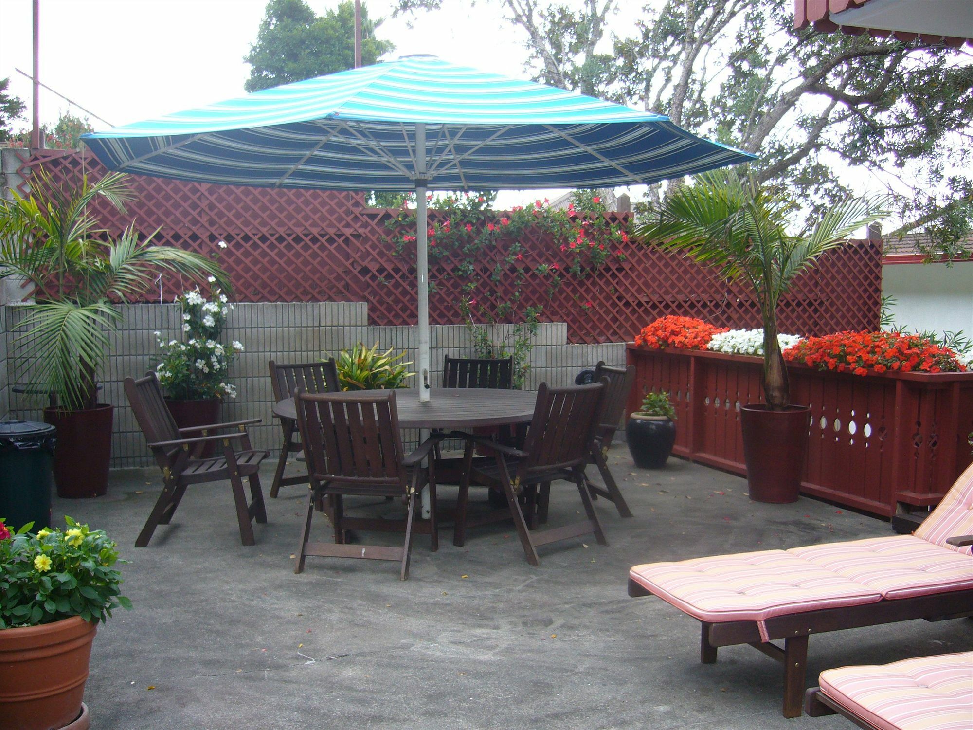 Swiss Chalet Lodge Motel Paihia Buitenkant foto