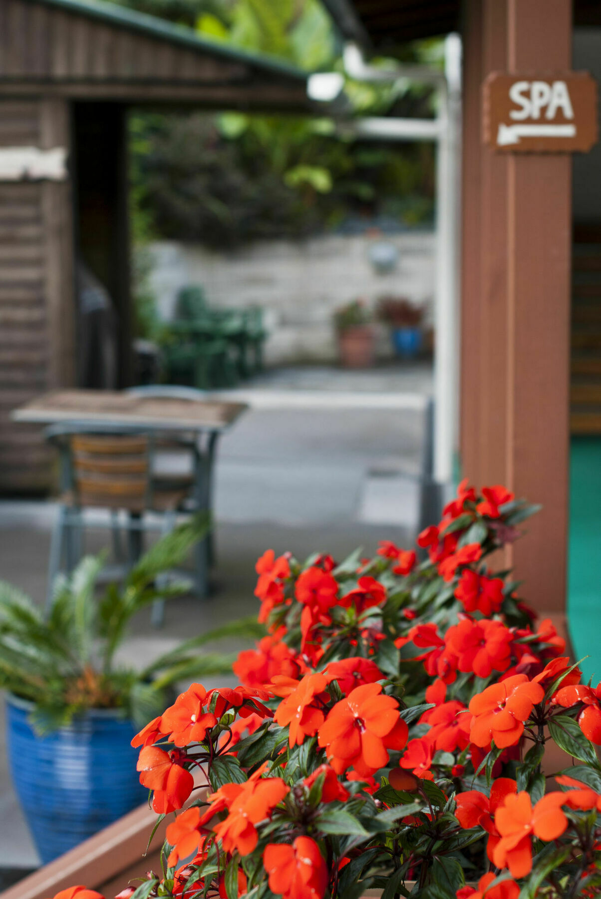 Swiss Chalet Lodge Motel Paihia Buitenkant foto