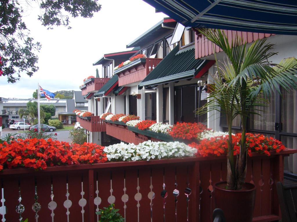 Swiss Chalet Lodge Motel Paihia Kamer foto
